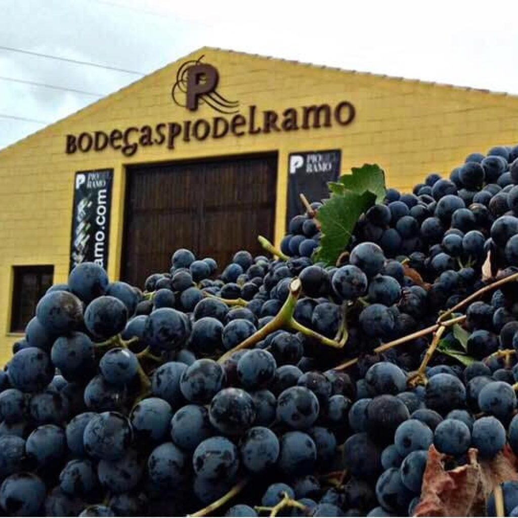 Bodegas Pío del Ramo | Filtragas