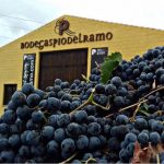 Bodegas Pío del Ramo | Filtragas