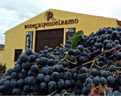Construimos una estación depuradora para Bodegas Pío del Ramo